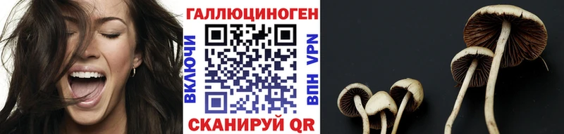 Галлюциногенные грибы ЛСД  darknet клад  Куса 